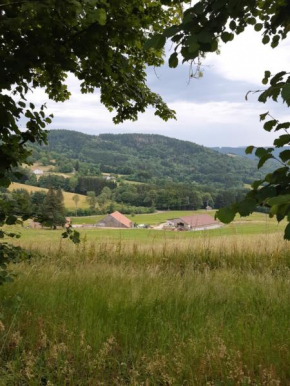 Le Gîte du Chat Gru Saulxures-Sur-Moselotte